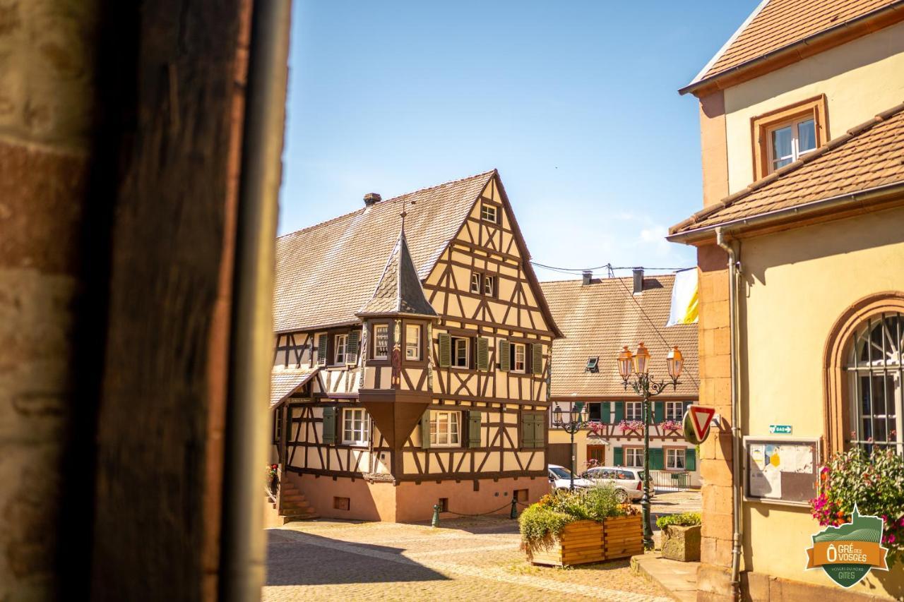 Gite O Gre Des Vosges 5 Etoiles Oberbronn, Vosges Du Nord المظهر الخارجي الصورة