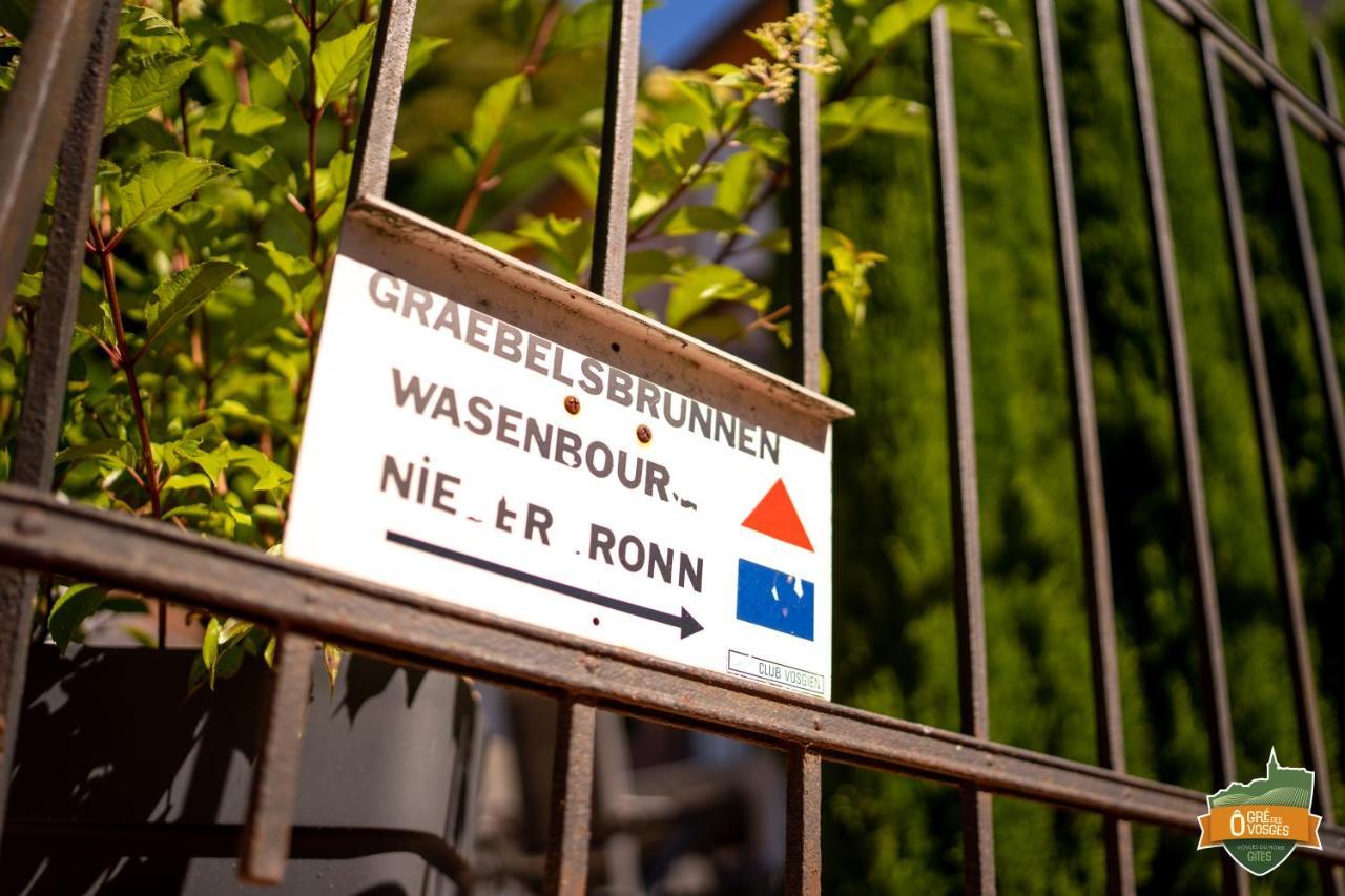 Gite O Gre Des Vosges 5 Etoiles Oberbronn, Vosges Du Nord المظهر الخارجي الصورة